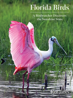 cover image of Florida Birds